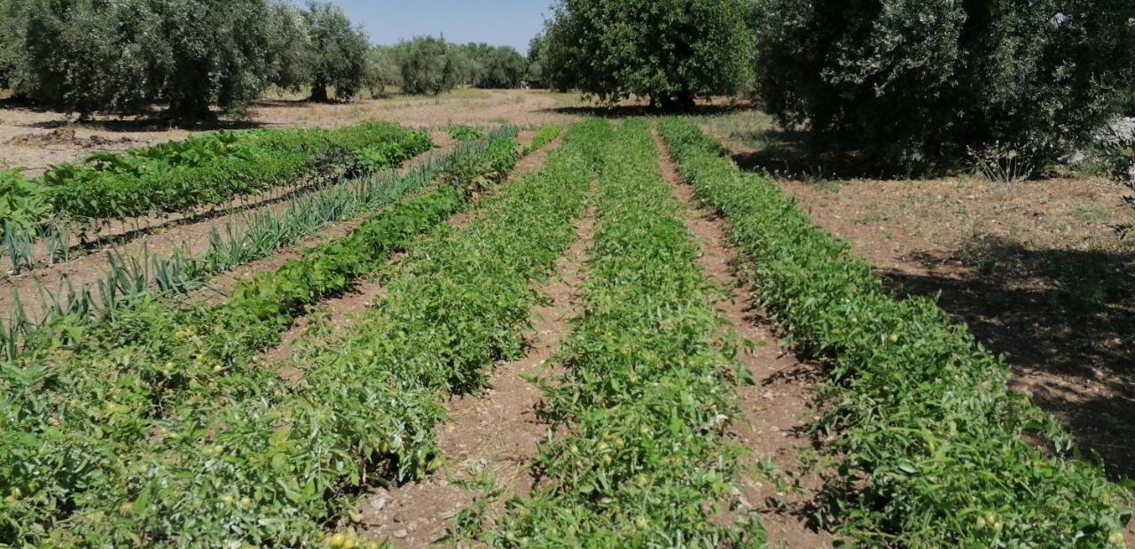 Agriturismo Baglio Calanchi Μόντικα Εξωτερικό φωτογραφία
